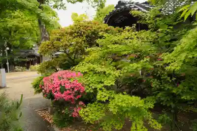 野見神社(大阪府)