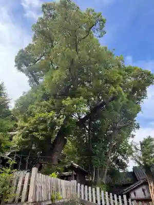 七所神社(愛知県)