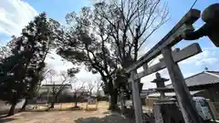 子部神社(奈良県)