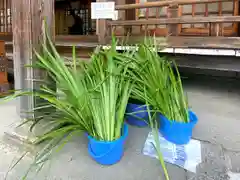 許麻神社(大阪府)