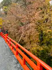 今熊野観音寺(京都府)