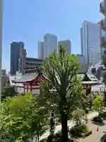 成子天神社の景色