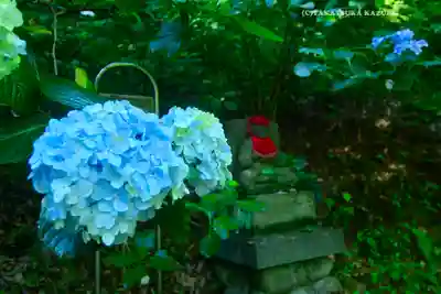 高幡不動尊　金剛寺(東京都)