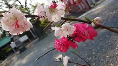 美濃輪稲荷神社(静岡県)