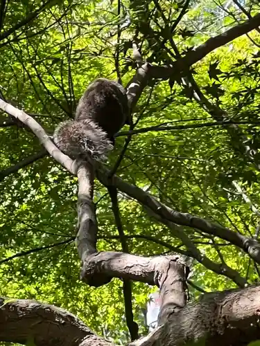 浄智寺(神奈川県)