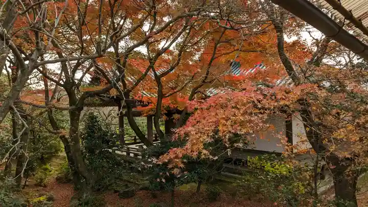 法金剛院(京都府)