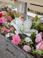 鳩森八幡神社(東京都)
