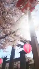 尾張大國霊神社（国府宮）の自然