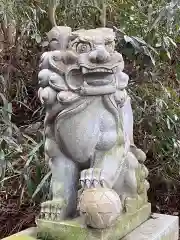 七高神社の狛犬