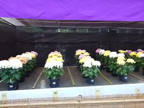 宗像大社(福岡県)