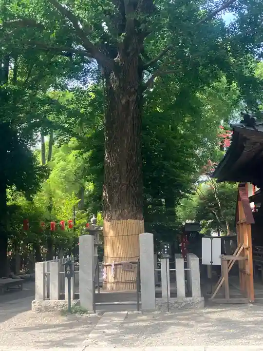 田無神社(東京都)