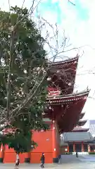 浅草寺の建物その他