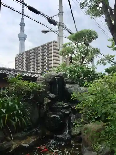 龍眼寺（萩寺）の景色