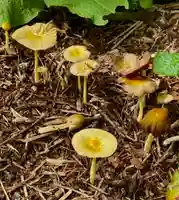 蚊里田八幡宮(長野県)