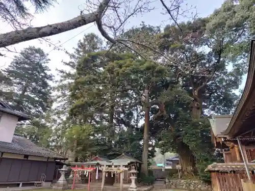 王子神社の{uncategorized: "未分類", other: "その他", undefined: "問題あり", building: "その他建物", grave: "お墓", sacred_gate: "鳥居", guardian: "狛犬", statue: "像", buddha: "仏像", history: "歴史", nature: "自然", garden: "庭園", animal: "動物", pagoda: "塔", temizu: "手水舎", mountain_gate: "山門・神門", sanctuary: "本殿・本堂", subordinate: "末社・摂社", art: "芸術", scenery: "景色", jizo: "地蔵", ema: "絵馬", goshuin: "御朱印", omikuji: "おみくじ", items: "授与品その他", amulet: "お守り", goshuincho: "御朱印帳", eats: "食事", festival: "お祭り", votive_dance: "神楽", shichigosan: "七五三参", wedding: "結婚式", experience: "体験その他", initially: "初詣", around: "周辺", anti_infection: "感染症対策"}
