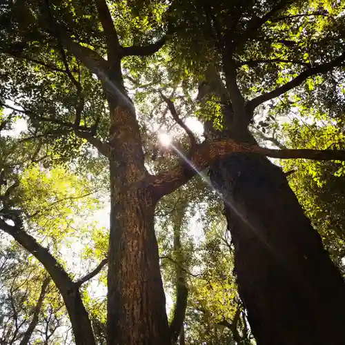 鹿島神宮の自然