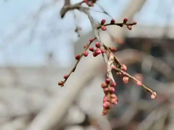 伊勢の国 四天王寺(三重県)