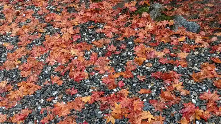 大原野神社(京都府)