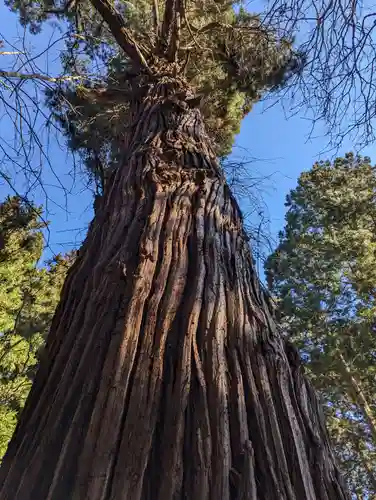 志和稲荷神社(岩手県)