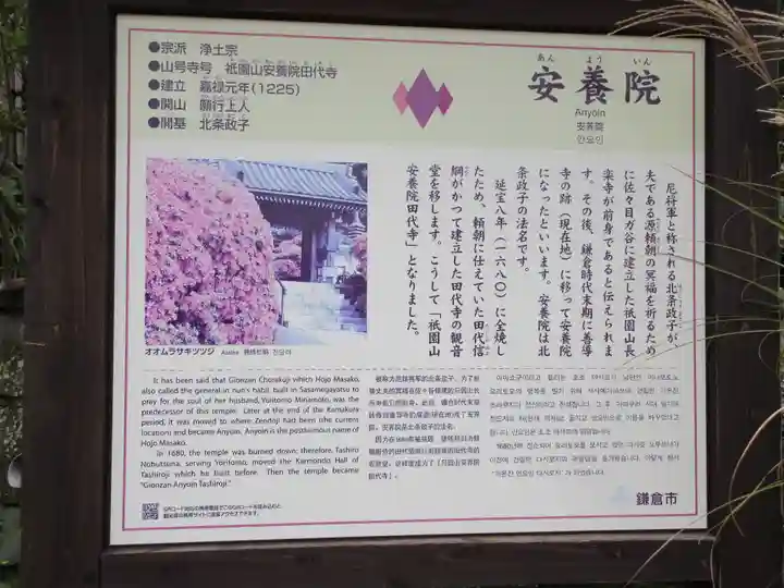 安養院 (田代寺)の歴史