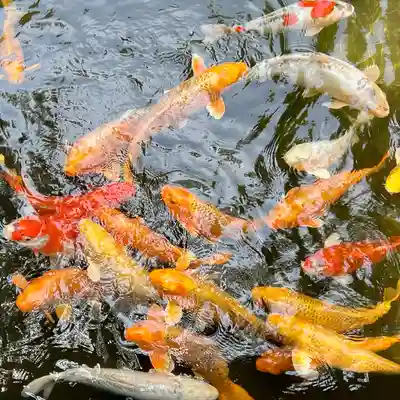 石鎚神社 口之宮 本社(愛媛県)