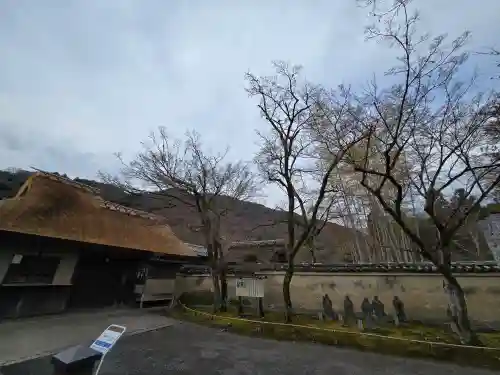 宝厳院(京都府)