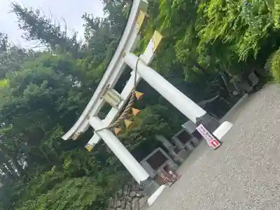 宝登山神社(埼玉県)