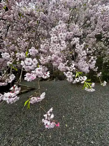 慈眼寺(京都府)