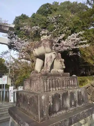 武田神社の狛犬