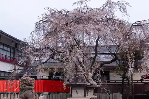 車折神社(京都府)
