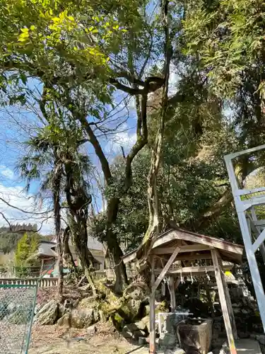 天鷹神社の手水舎