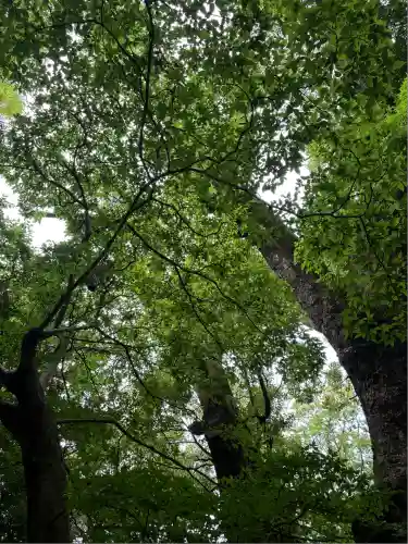 來宮神社(静岡県)