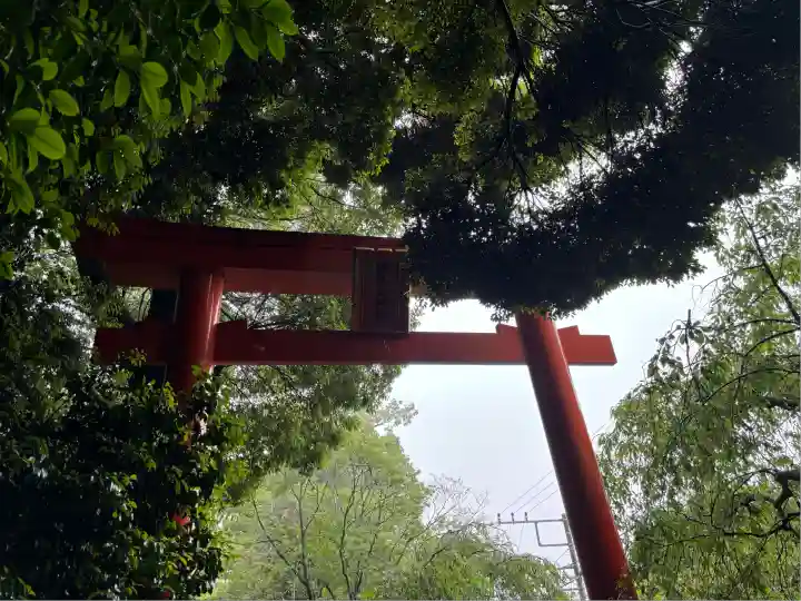 伊豆山神社(静岡県)