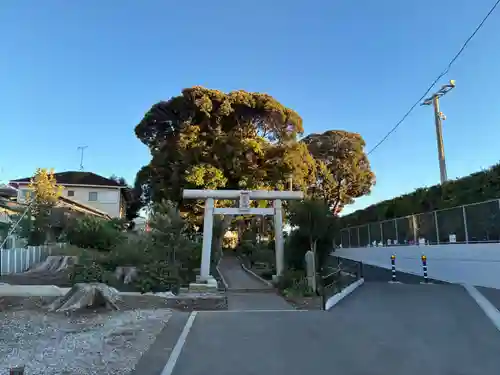 三社大神(千葉県)