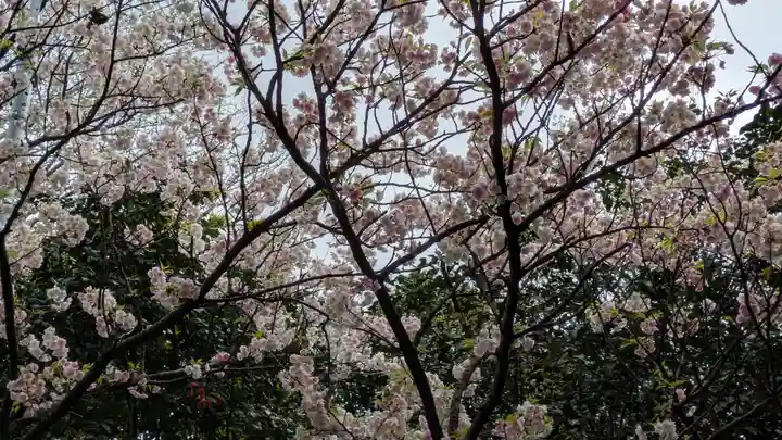大念寺(京都府)
