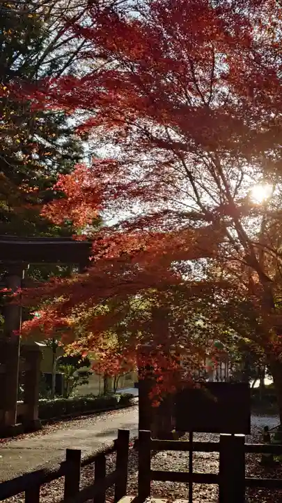 鳥取東照宮(旧樗谿神社)(鳥取県)