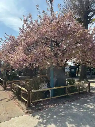 芳林寺の{uncategorized: "未分類", other: "その他", undefined: "問題あり", building: "その他建物", grave: "お墓", sacred_gate: "鳥居", guardian: "狛犬", statue: "像", buddha: "仏像", history: "歴史", nature: "自然", garden: "庭園", animal: "動物", pagoda: "塔", temizu: "手水舎", mountain_gate: "山門・神門", sanctuary: "本殿・本堂", subordinate: "末社・摂社", art: "芸術", scenery: "景色", jizo: "地蔵", ema: "絵馬", goshuin: "御朱印", omikuji: "おみくじ", items: "授与品その他", amulet: "お守り", goshuincho: "御朱印帳", eats: "食事", festival: "お祭り", votive_dance: "神楽", shichigosan: "七五三参", wedding: "結婚式", experience: "体験その他", initially: "初詣", around: "周辺", anti_infection: "感染症対策"}