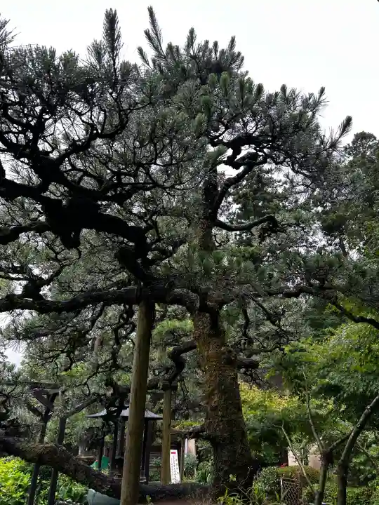 目の霊山 油山寺(静岡県)
