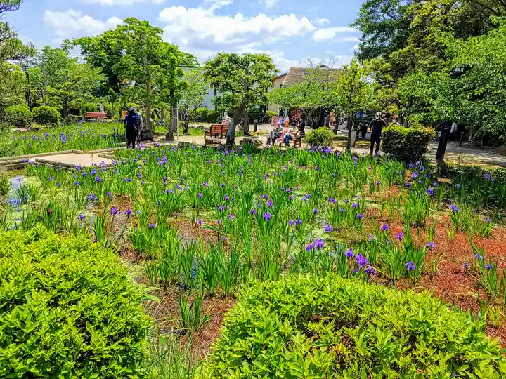 無量寿寺の自然