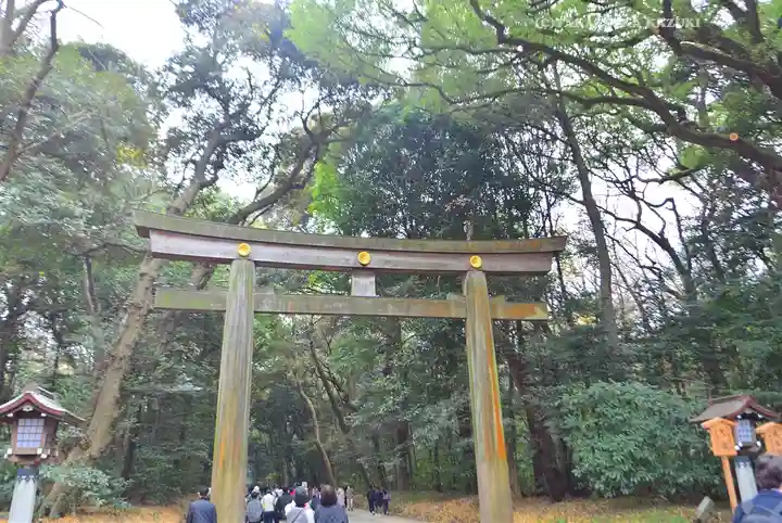 明治神宮(東京都)