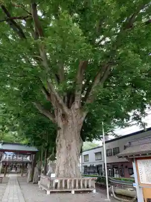 住吉神社(岩手県)