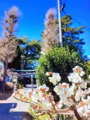田端神社(東京都)