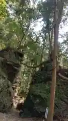 室生龍穴神社の建物その他