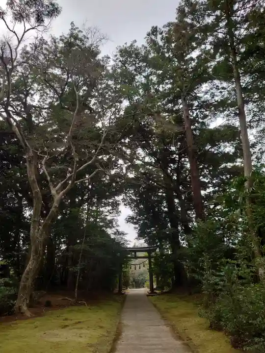 成田熊野神社のその他建物