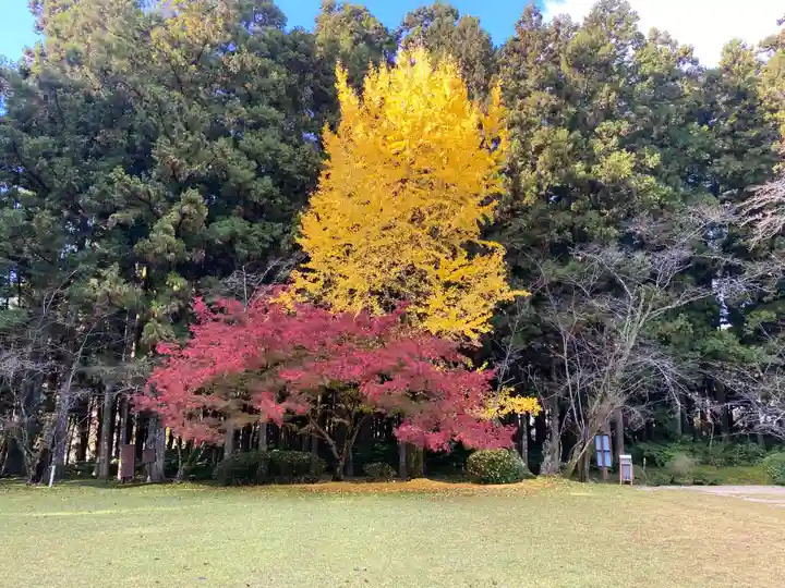 大斎原(熊野本宮大社旧社地)(和歌山県)