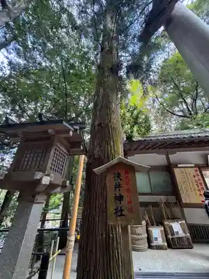 大神神社(奈良県)