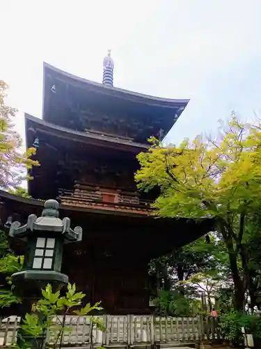 豪徳寺(東京都)