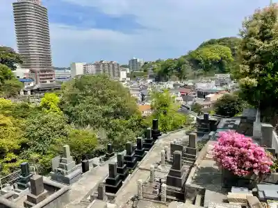 浄土寺の{uncategorized: "未分類", other: "その他", undefined: "問題あり", building: "その他建物", grave: "お墓", sacred_gate: "鳥居", guardian: "狛犬", statue: "像", buddha: "仏像", history: "歴史", nature: "自然", garden: "庭園", animal: "動物", pagoda: "塔", temizu: "手水舎", mountain_gate: "山門・神門", sanctuary: "本殿・本堂", subordinate: "末社・摂社", art: "芸術", scenery: "景色", jizo: "地蔵", ema: "絵馬", goshuin: "御朱印", omikuji: "おみくじ", items: "授与品その他", amulet: "お守り", goshuincho: "御朱印帳", eats: "食事", festival: "お祭り", votive_dance: "神楽", shichigosan: "七五三参", wedding: "結婚式", experience: "体験その他", initially: "初詣", around: "周辺", anti_infection: "感染症対策"}