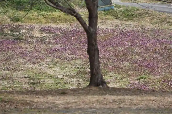 阿久津「田村神社」(郡山市阿久津町)旧社名:伊豆箱根三嶋三社の周辺