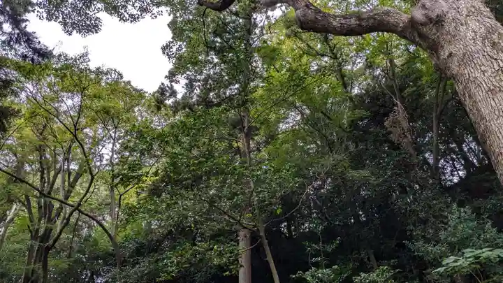 法華堂跡(源頼朝墓・北条義時墓)の自然